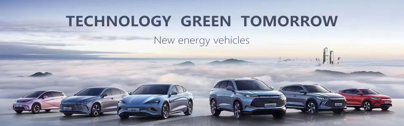中国 最もよい 電気自動車 販売