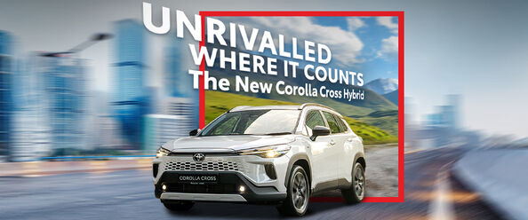 Kwaliteit Warme grondstof fabriek