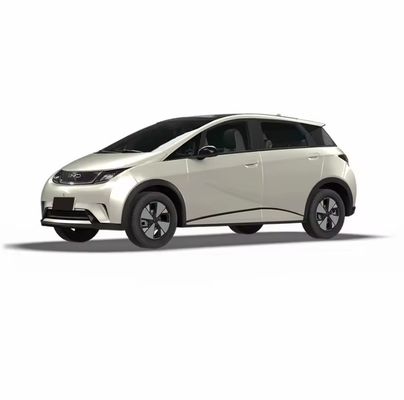 BYD Dolphin Champion Edition 520km Range Electric Car Left Steering 100% Energy Type