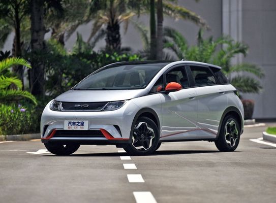 BYD Dolphin Champion Edition 520km Range Electric Car Left Steering 100% Energy Type