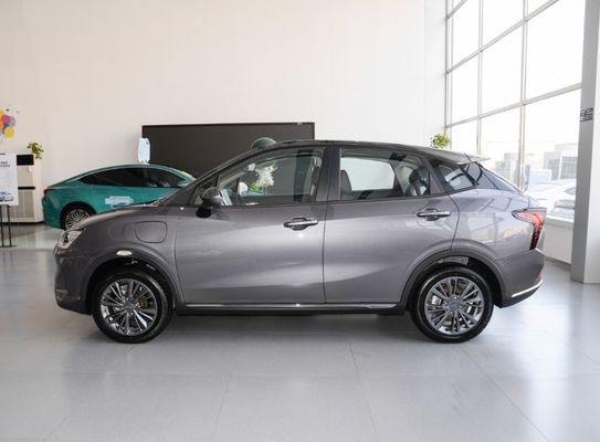 Midsize SUV Neta RHD Adult Energy Electric Vehicle with Ternary Lithium Ion Battery