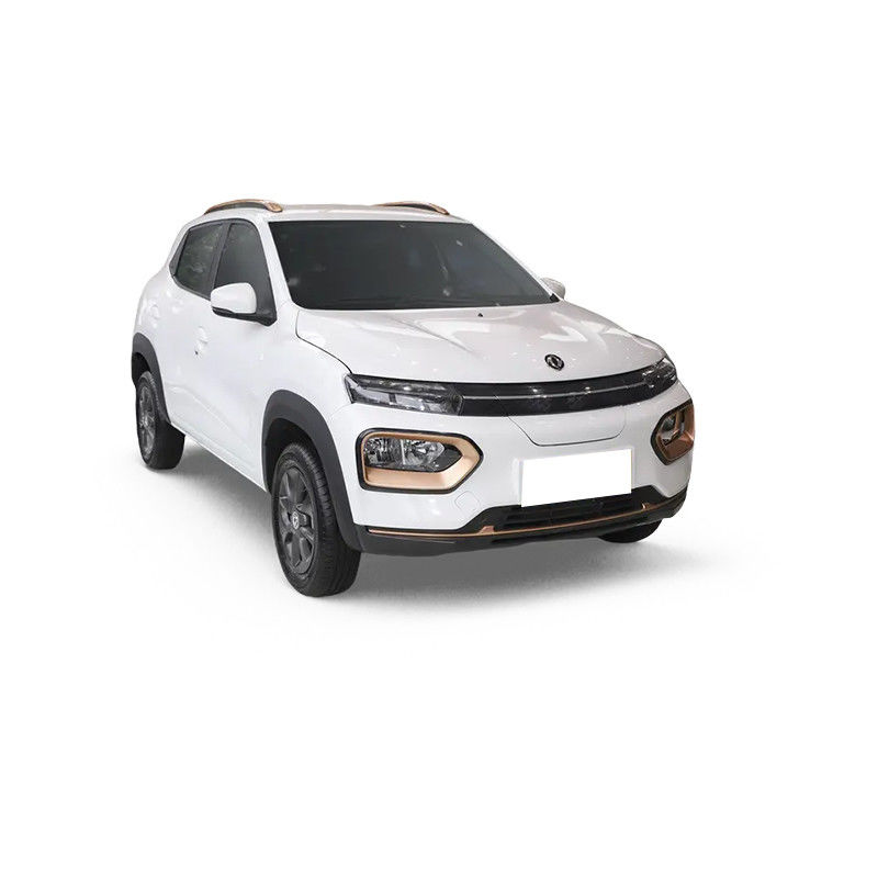 2023 Dongfeng Nammi Box Long Battery Electric Car for Market Size mm 3732*1579*1515