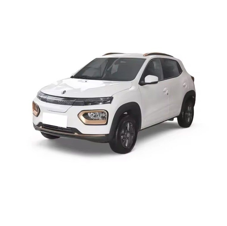 2024 Dongfeng EX1 Pro The Top SUV in Search of Performance and Affordability
