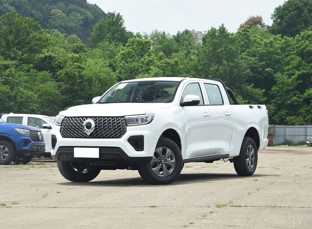 Level Pickup GWM Poer 2024 2.0T 4x4 Diesel Gasoline Vehicle for Two-Wheel Drive/FWD