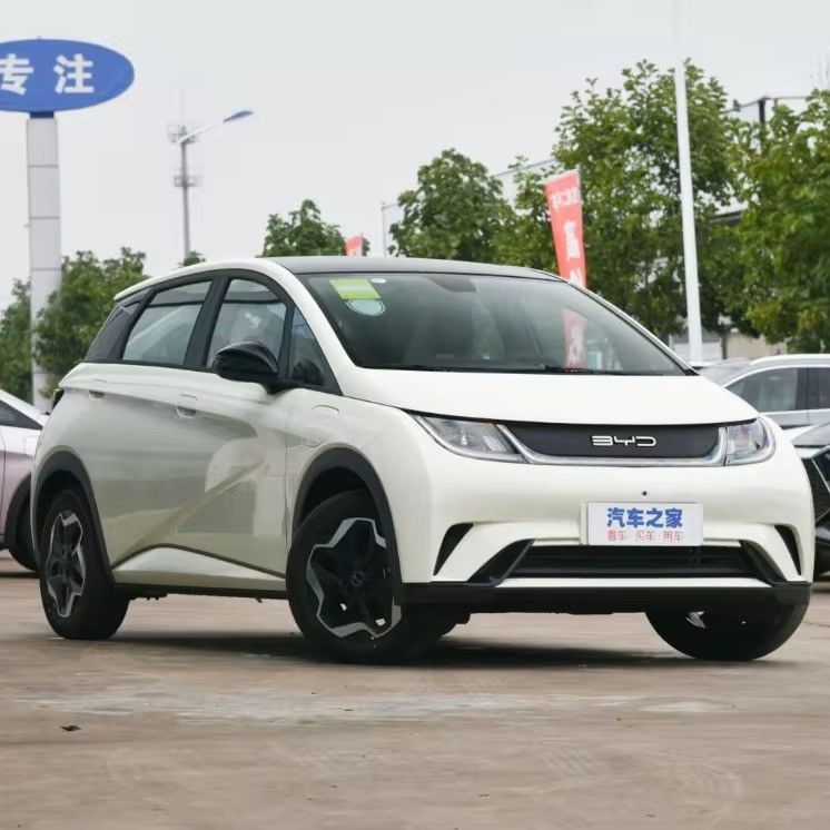 BYD Dolphin Energy Vehicle 2023 Electric Sedan 420km Fashion Version Auto for Market