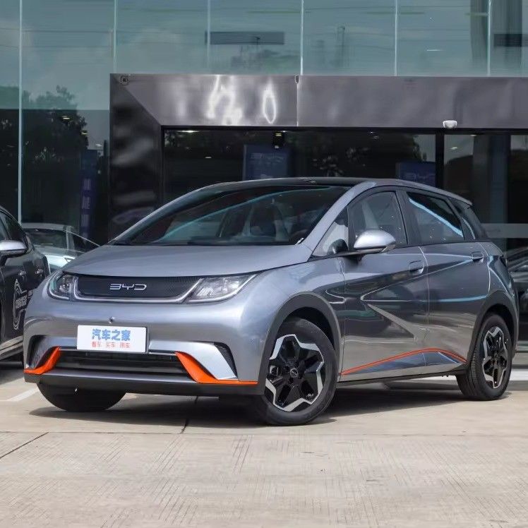 BYD Dolphin Energy Vehicle 2023 Electric Sedan 420km Fashion Version Auto for Market