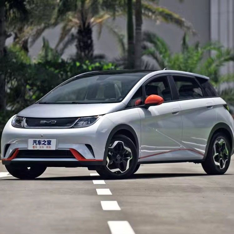 BYD Dolphin Energy Vehicle 2023 Electric Sedan 420km Fashion Version Auto for Market