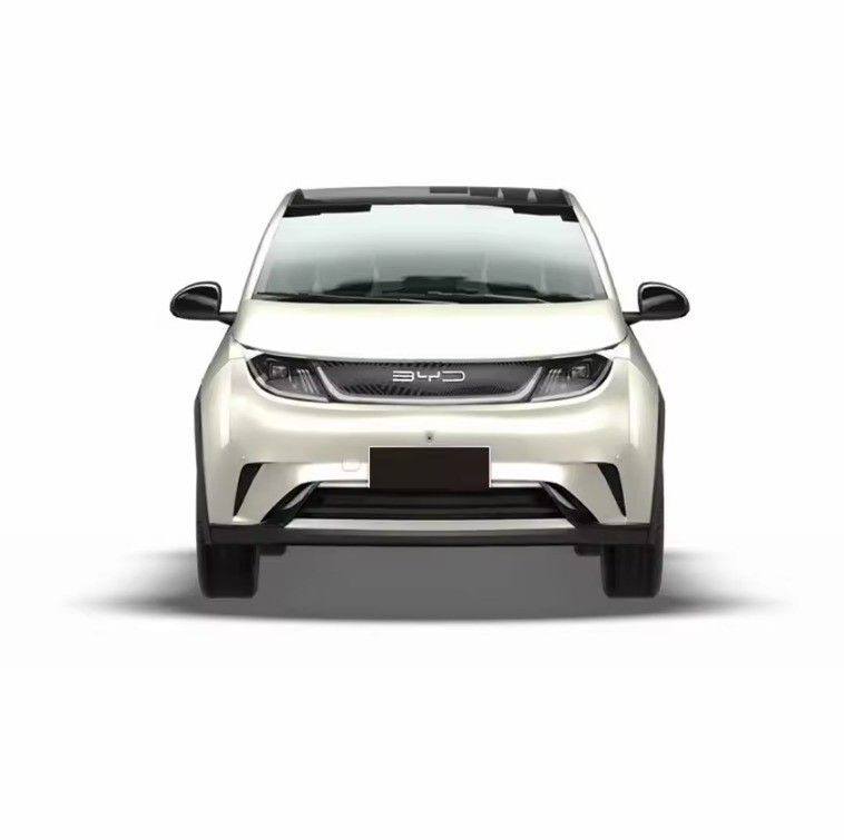 BYD Dolphin EV 2024 405KM Fashion Edition High Speed Energy Car BYD Song Yuan Plus Models