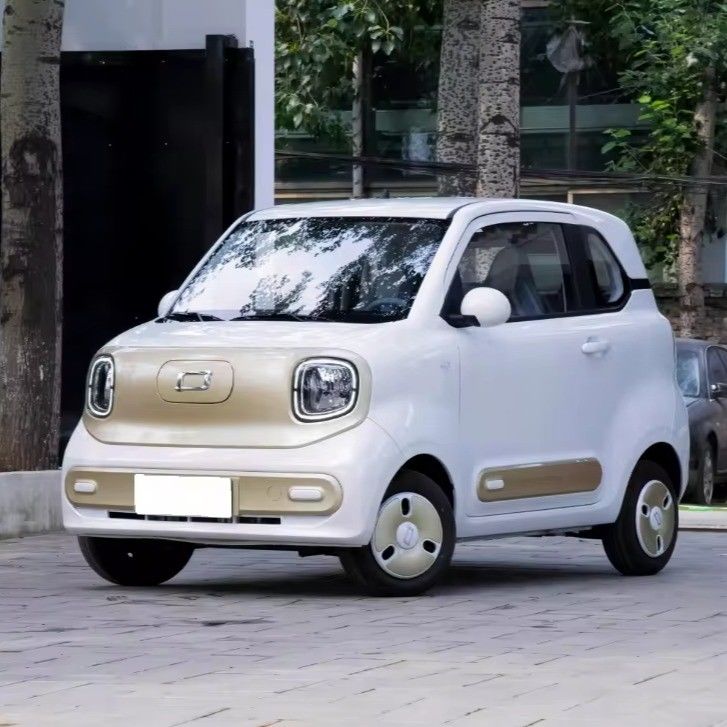 Pure Electric Vehicle Bestune Pony Long Range 170km Mini EV Car 2024 Electric Car Adult