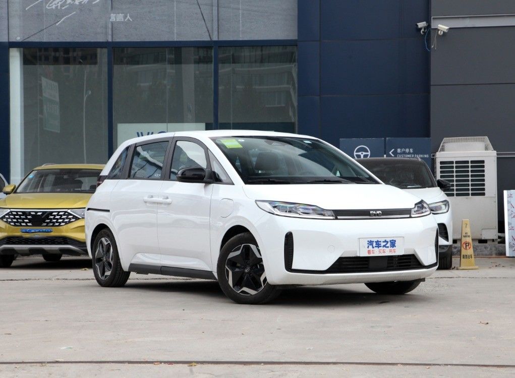 2024 BYD D1 EV Car Standard Edition Electric Taxis MPV for Business 5 Seats 5 Doors