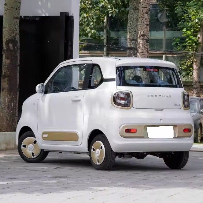 Energy Type Compact Sedan Wuling Mini EV Small Electric Vehicle for Your B2B Needs