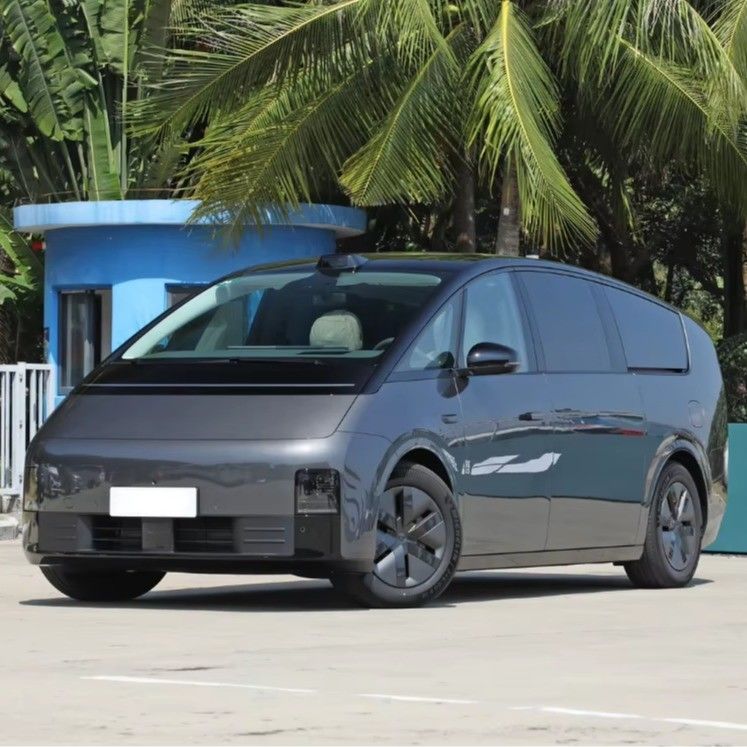 7 Seats Battery Electric Vehicle Li Mega Max Lixiang Li 2024 Cars for Business Luxury