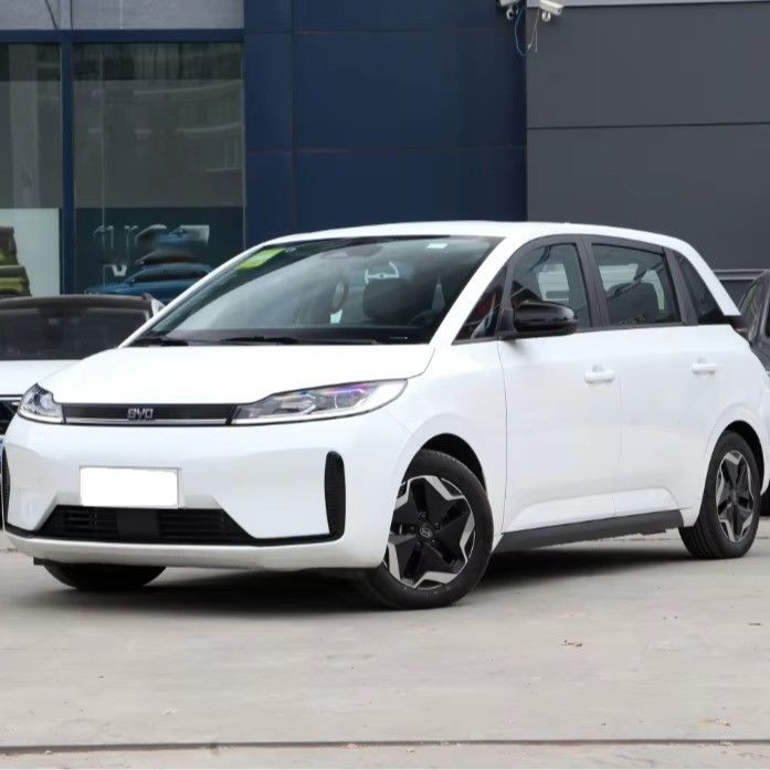 2024 Prepaid Booking for BYD D1 EV Vehicle Standard Edition MPV 5 Seats 5 Doors