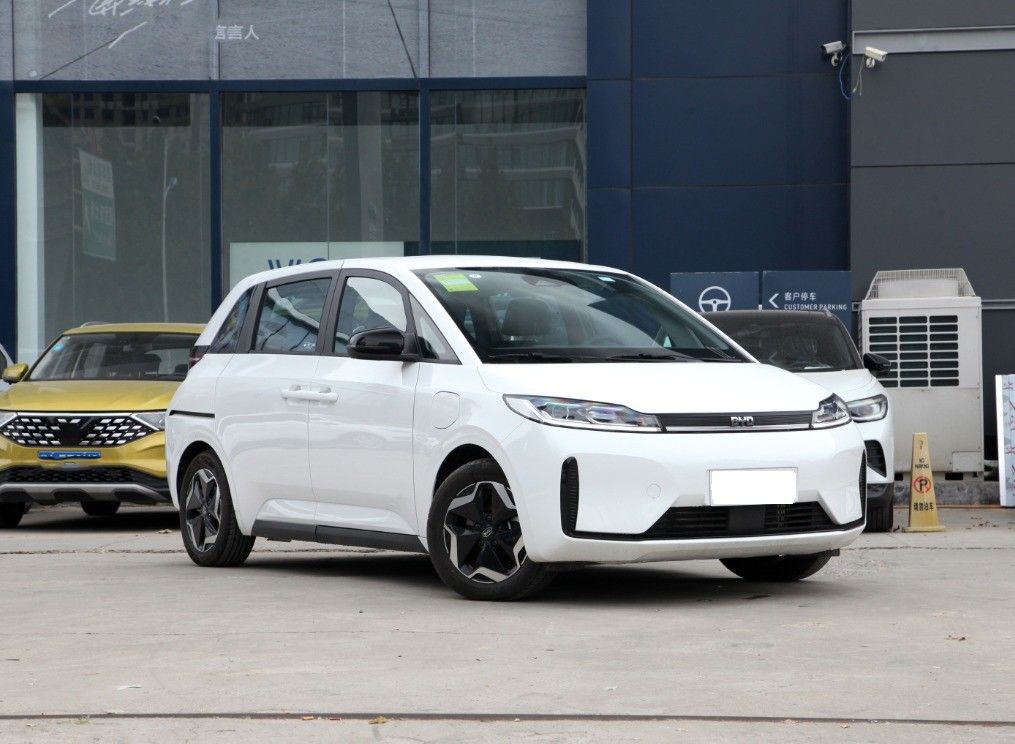 2024 Prepaid Booking for BYD D1 EV Vehicle Standard Edition MPV 5 Seats 5 Doors